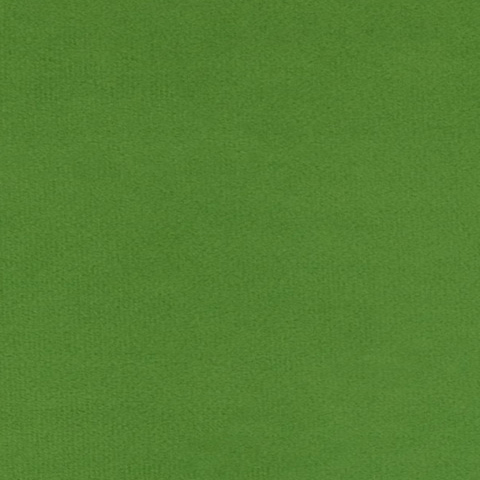    Vyva Fabrics > P07 Apple green
